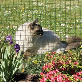 Pletivo čtvercové poplast zelené 1x25m/19mm