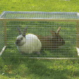 Pletivo čtvercové pozink 0,5x5m/12,7mm/0,8mm