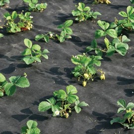 Netkaná textilie 3,2x100m 50g/m2 černá