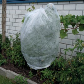 Netk.text.Climatic17Bie 1,6x5