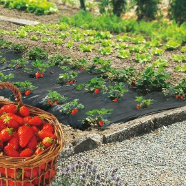 Fólie mulčovací na jahody 1,4x10m
