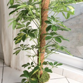 Kokosová tyč ø45mmx0,6m