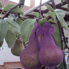 Ochranná síť proti vosám VESPA 50ks