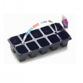 Multiplata 10x 28x12cm 106cc