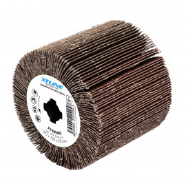 Kotouč lamelový brusný 120x100mm 120g