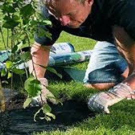 Geotex 50g/m2 1,6x10m Čern