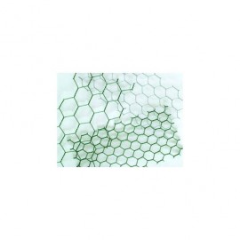 Pletivo drůbeží pozinkované 1x50m/30mm