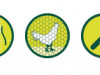 26485e.PNG