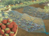 7564a.jpg